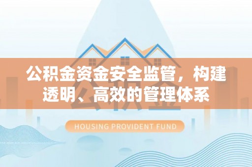 环江公积金资金安全监管，构建透明、高效的管理体系