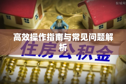 环江高效操作指南与常见问题解析