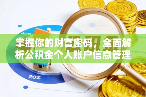 环江掌握你的财富密码，全面解析公积金个人账户信息管理与优化