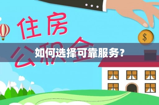 环江如何选择可靠服务？