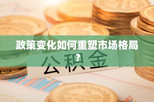 环江政策变化如何重塑市场格局？