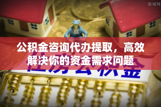 环江公积金咨询代办提取，高效解决你的资金需求问题