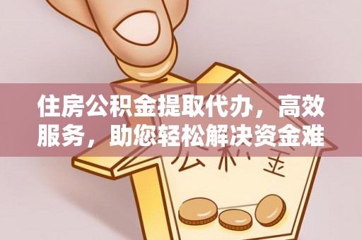 环江住房公积金提取代办，高效服务，助您轻松解决资金难题
